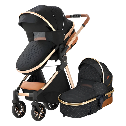 The Navigator: EveryStage 2-in-1 Luxury Baby Stroller