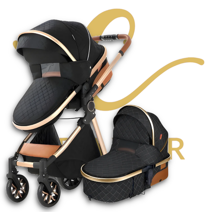 The Navigator: EveryStage 2-in-1 Luxury Baby Stroller