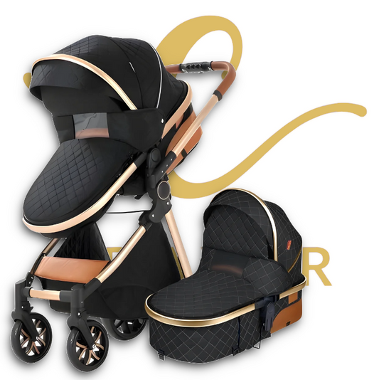 The Navigator: EveryStage 2-in-1 Luxury Baby Stroller