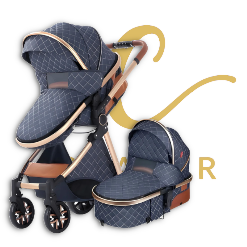 The Navigator: EveryStage 2-in-1 Luxury Baby Stroller