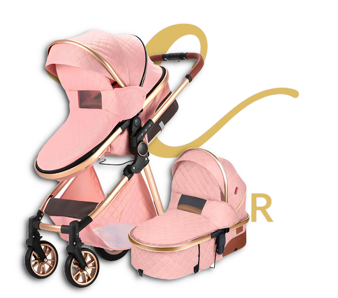 The Navigator: EveryStage 2-in-1 Luxury Baby Stroller