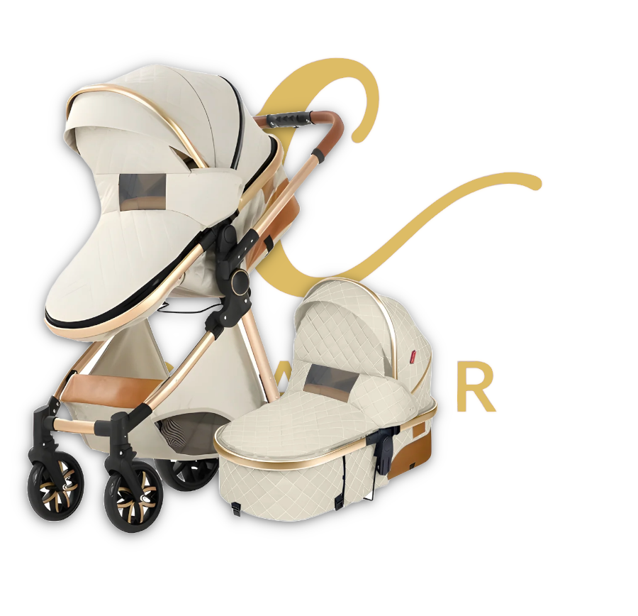 The Navigator: EveryStage 2-in-1 Luxury Baby Stroller